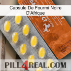 Africa Black Ant Capsule 42
